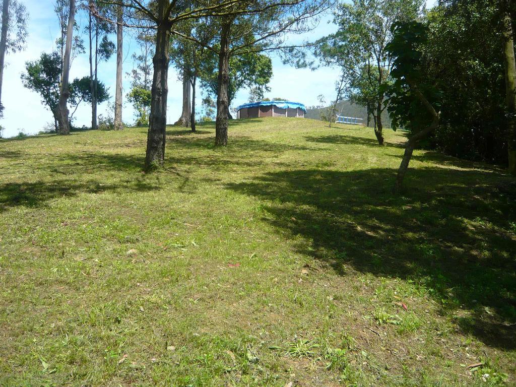 Apartamentos Playa La Franca Zewnętrze zdjęcie